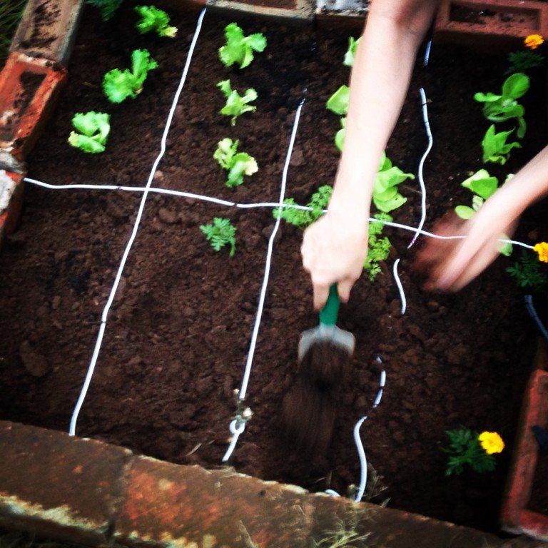The case for gardening