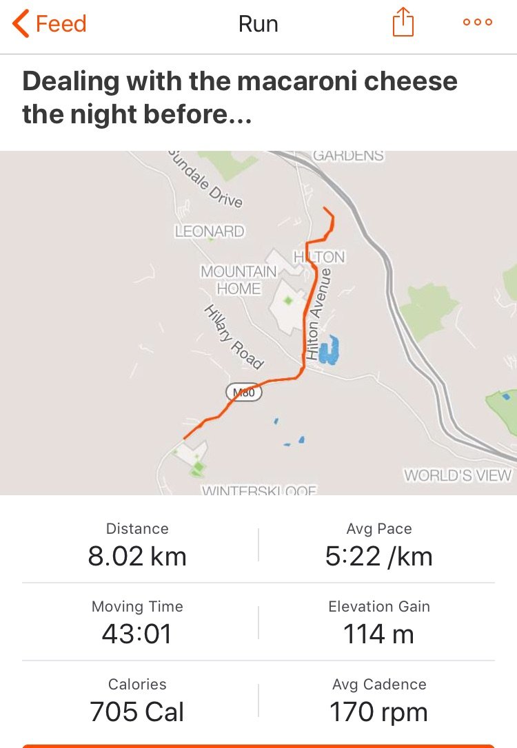 Morning Cardio