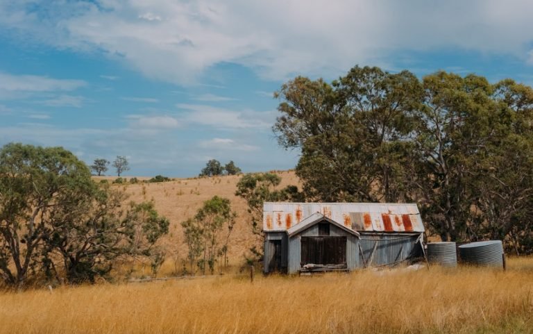The idea of home… and what it means