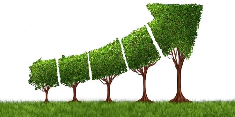 Growing your mindset