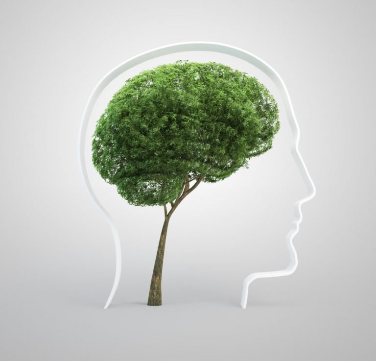 #28 – Growing Your Mindset