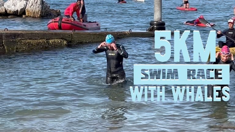 Vlog: 5km Swim Race in Whale-Watching Territory