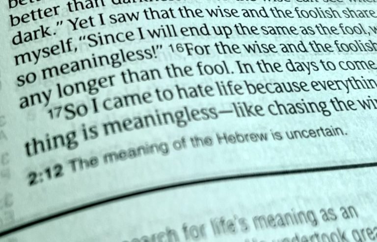 Perhaps it will be pleasing…